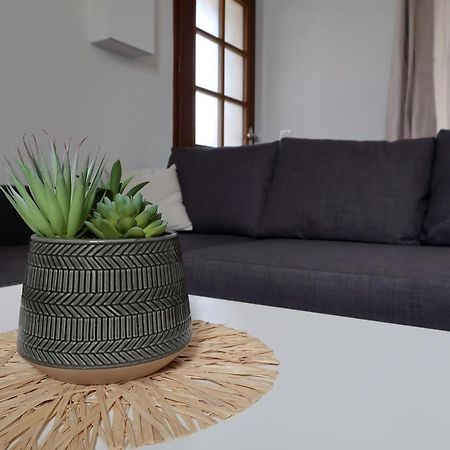 Clermont Centre- Appartement Prive Экстерьер фото